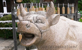 宝勝牛（三室戸寺）01