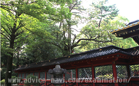 願かけカヤの木（根津神社）02