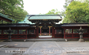 願かけカヤの木（根津神社）03