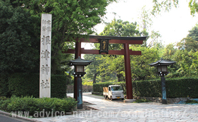 願かけカヤの木（根津神社）04