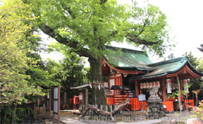 榎【武信稲荷神社】01