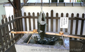 叶い鯉【神戸北野天満神社】02