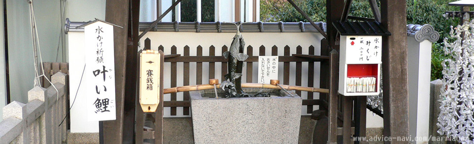 叶い鯉【神戸北野天満神社】