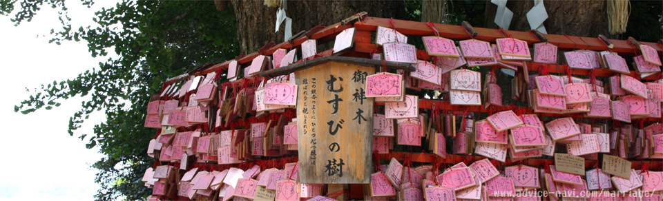 むすびの樹【江島神社】