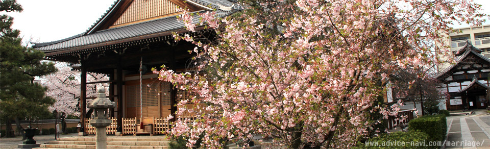 御会式桜【妙蓮寺】