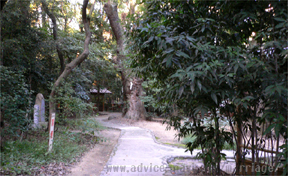 生田神社03