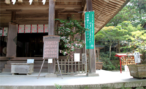 竈門神社03